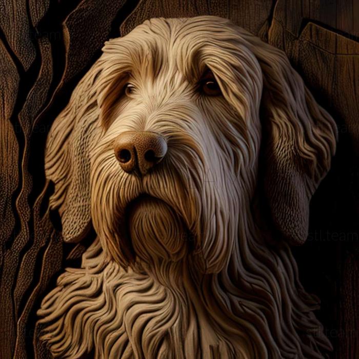 3D model Otterhound dog (STL)